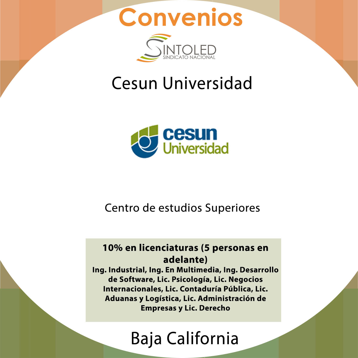 Cesun Universidad Sintoled