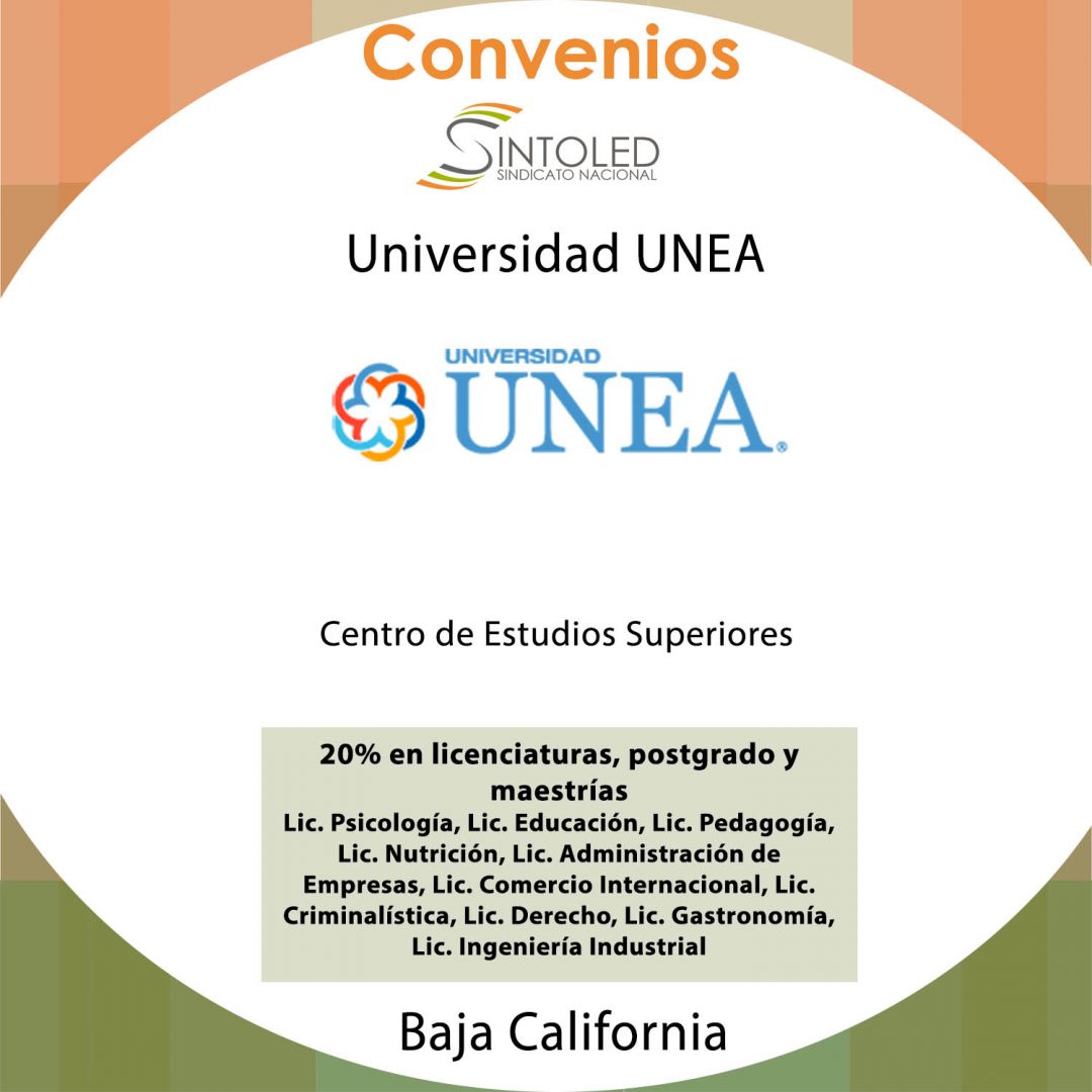 Universidad UNEA
